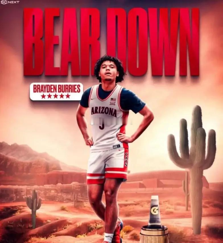 布雷登·伯里斯