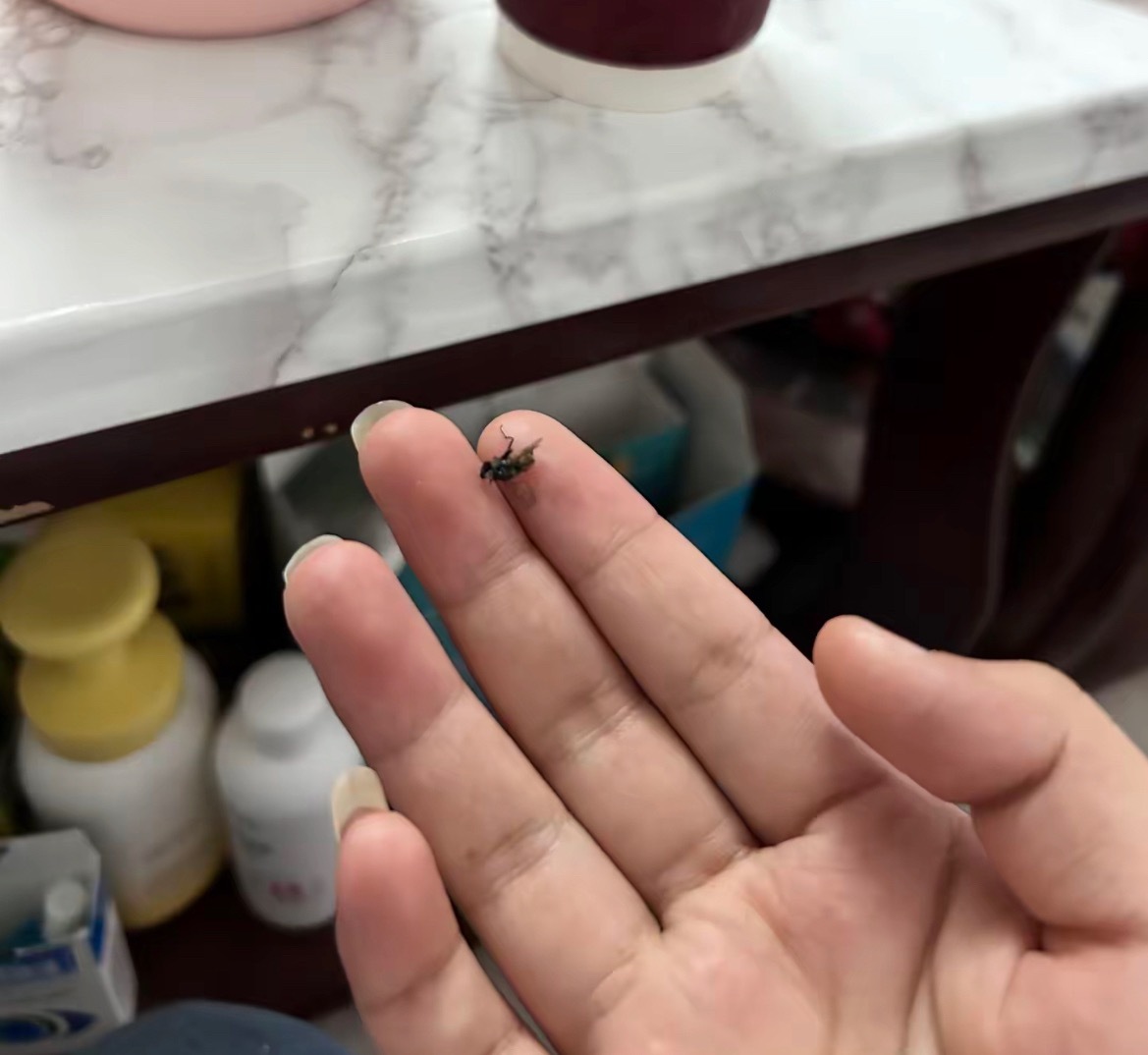 【玉林一乡镇打包奶茶快喝完了发现有苍蝇】6月29日，网友爆料称：玉林市的一乡镇网