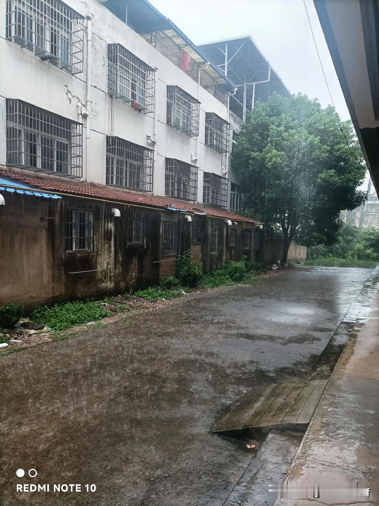 刚锻炼后去菜市场买菜回来，一场大暴打湿了脚后跟，这生活真是猝不及防。
也过8点了