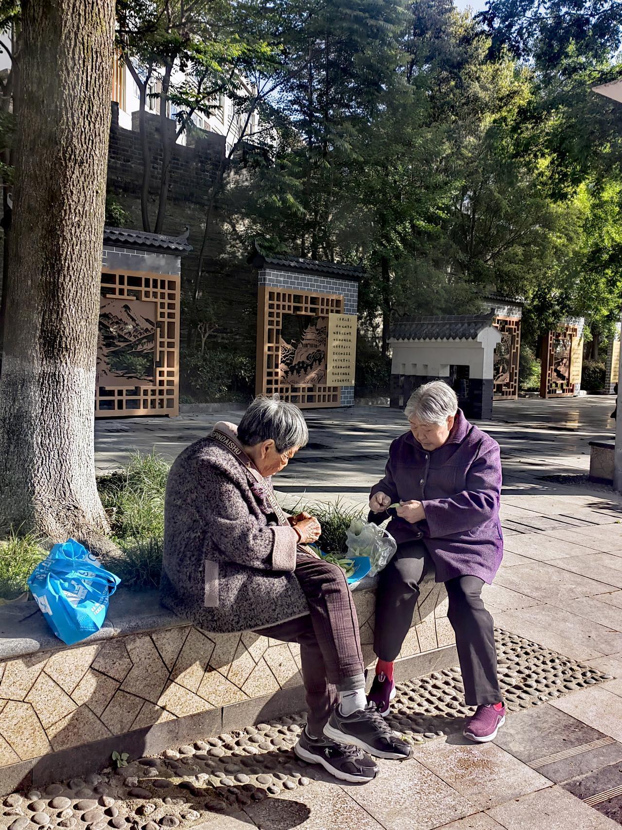 晒图笔记大赛早上八点多钟，我去露天市场买菜，看见一对老闺蜜坐在台阶上，有说有笑，