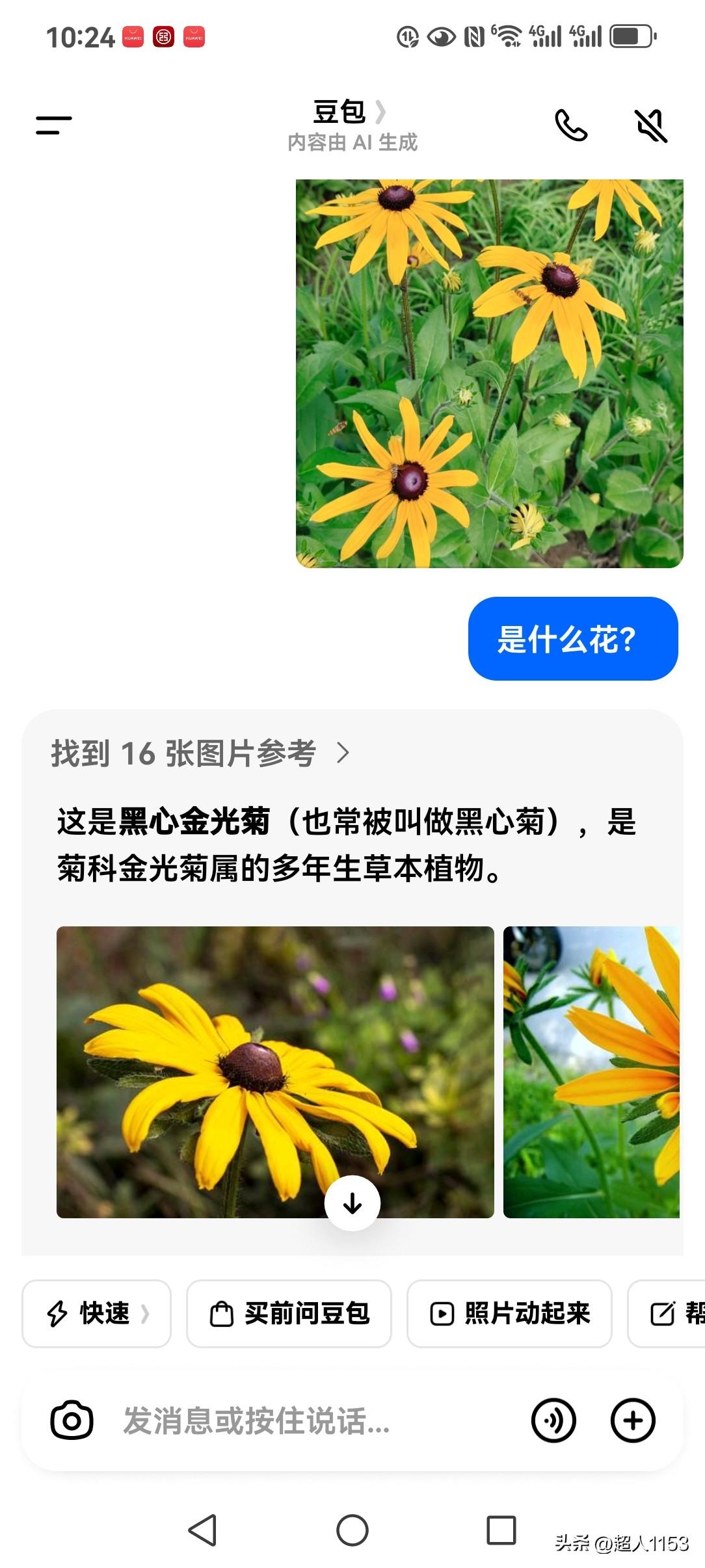 自从有了豆包，
它可真是包罗万象。

从生活小知识，
到不懂的花问问它。

从养