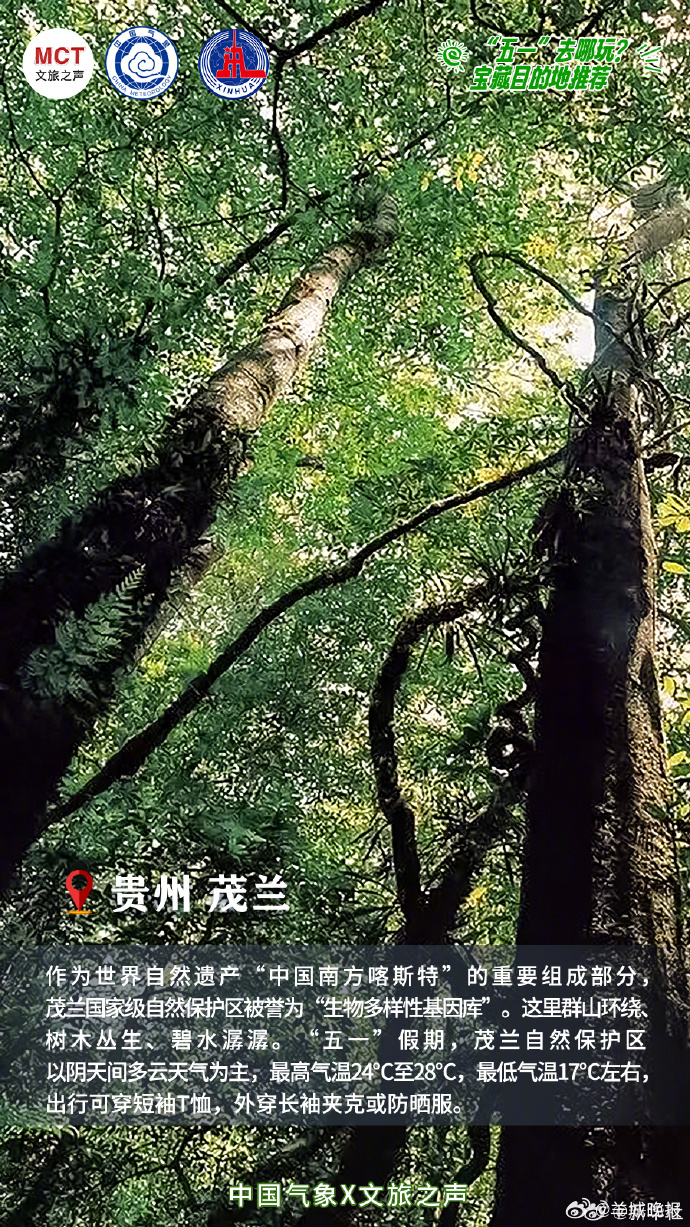 【“五一”去哪玩？八个宝藏目的地别错过】山野茶园、大漠风光、沙湖秘境、雪山盛景、