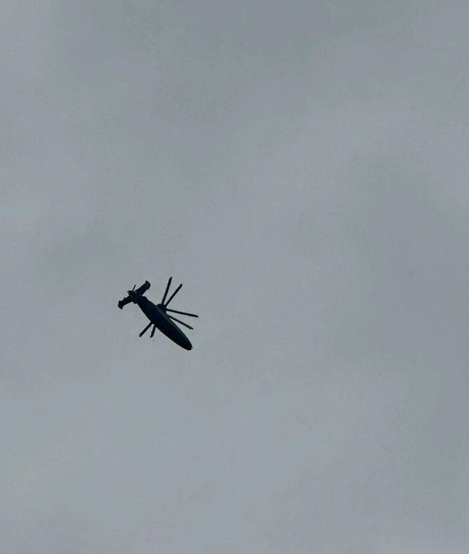 我跟你说，有时候真会恍惚一下。
就刚刚，又刷到那个新家伙的照片了，就是那个头顶上