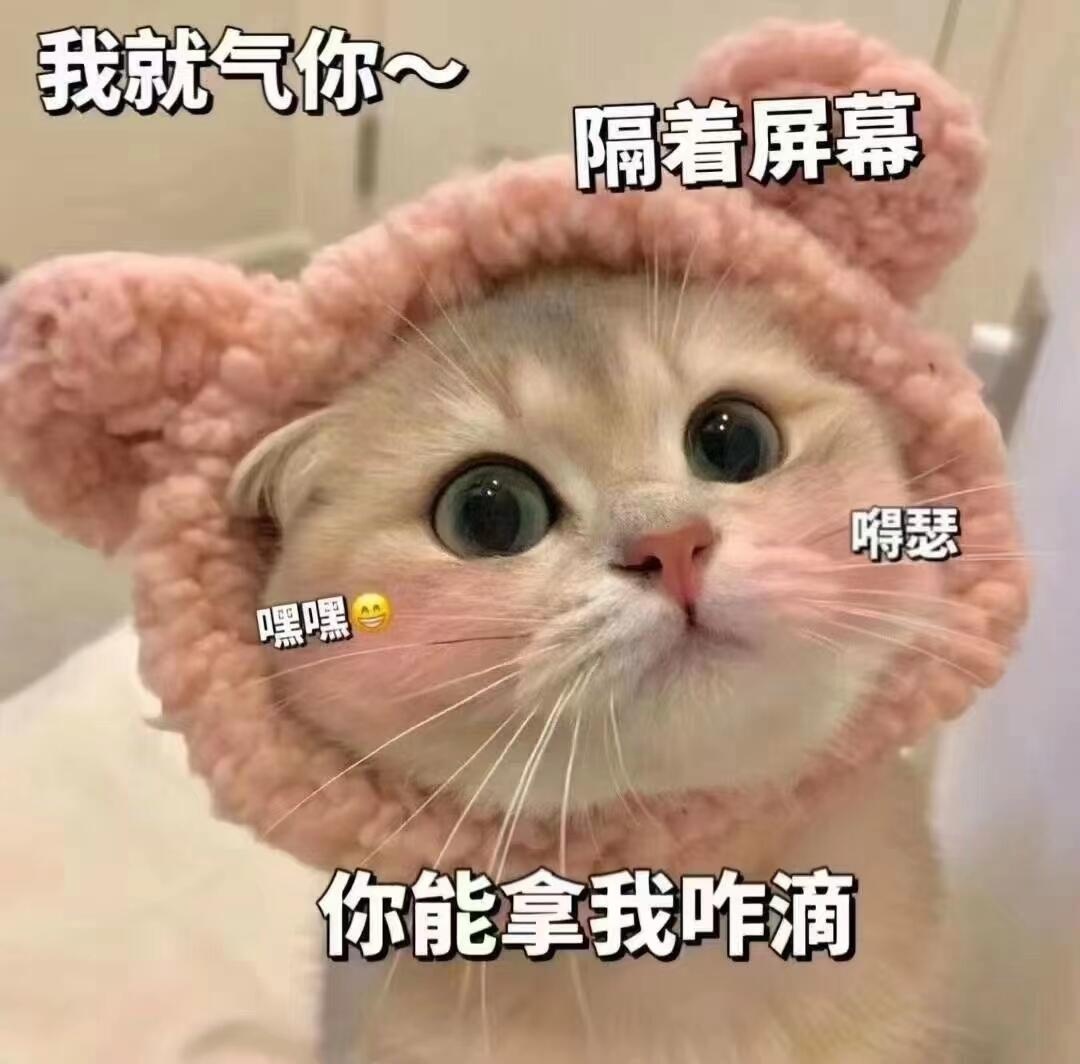 发给男朋友的阴阳怪气表情包[二哈][二哈] 