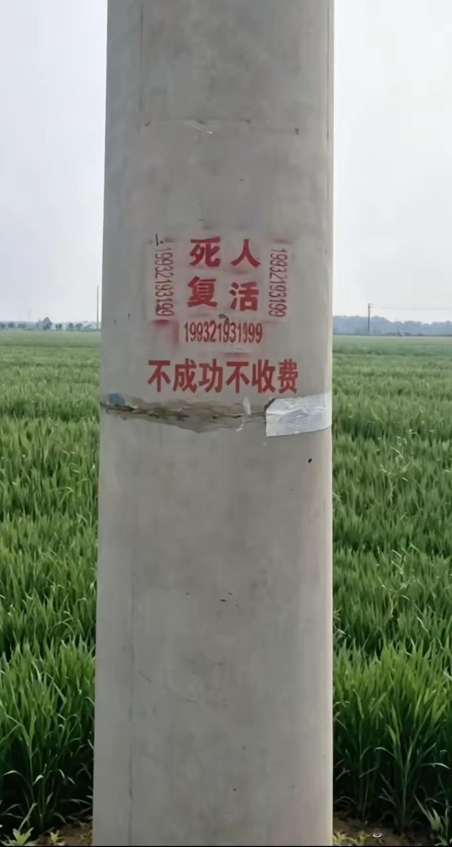 田野里的电线杆上这侧广告要是真的，那还需要做广告吗？