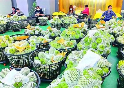 厦门签约大势已定！民进党疯狂阻拦，终究挡不住两岸民生互通
 
6月13日，第十八