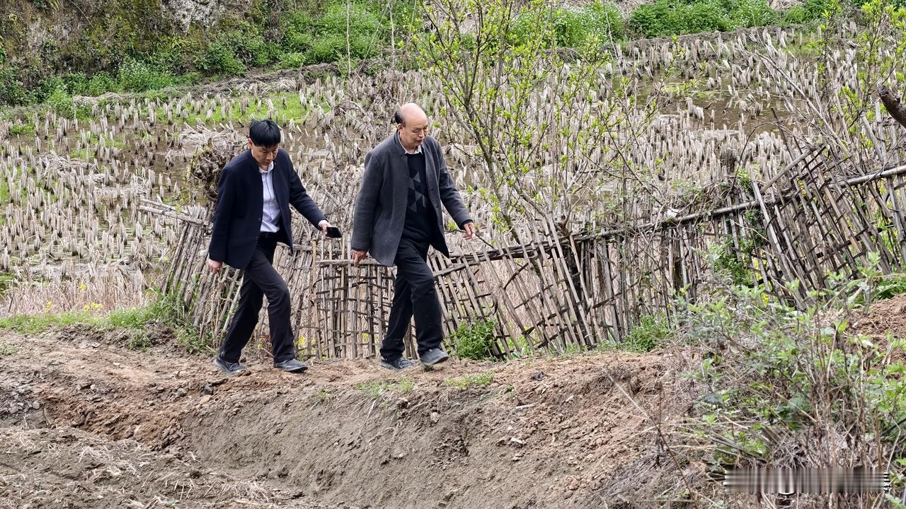 每日一图随手拍今日西沙河村