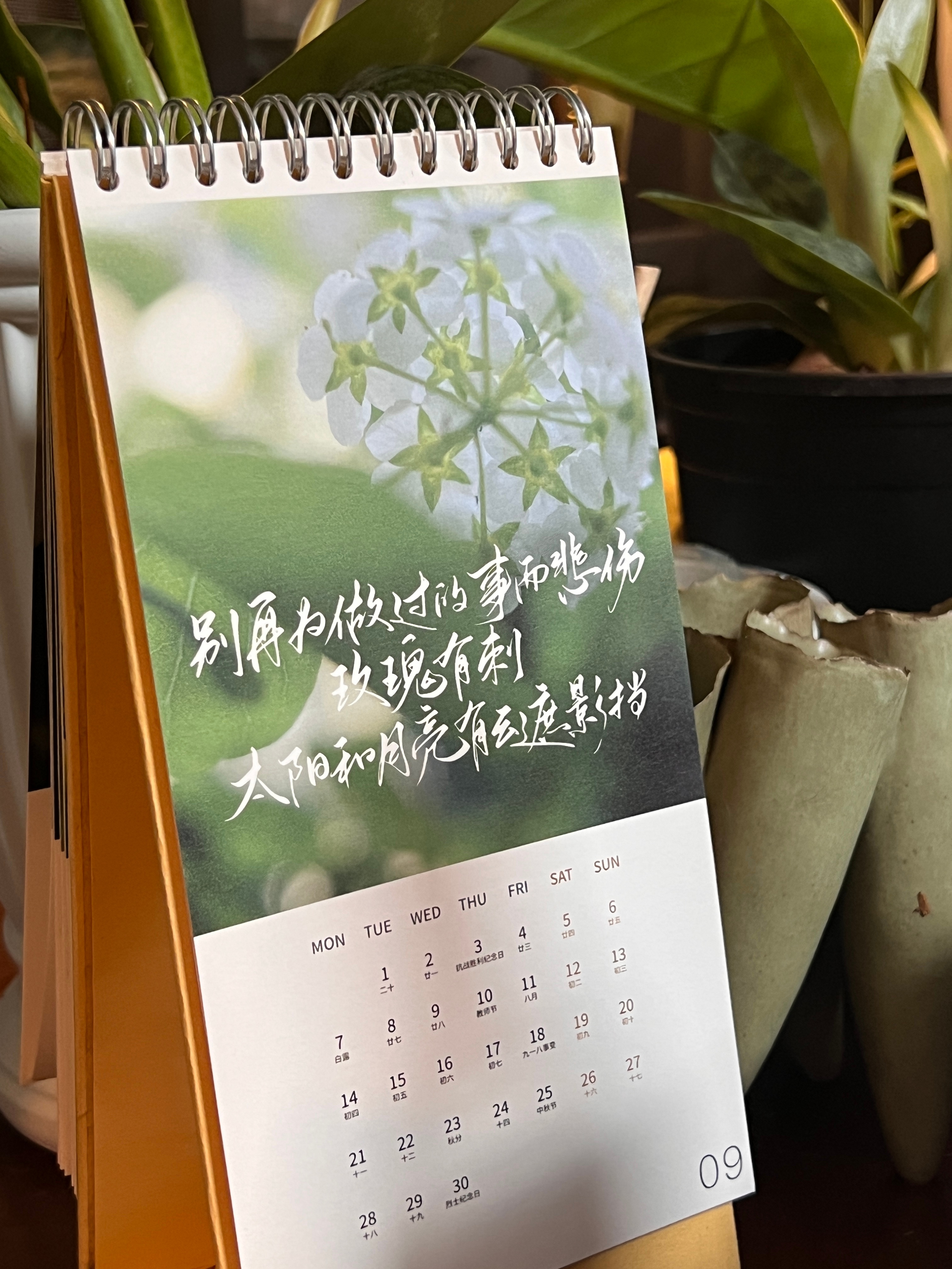 创作的时候，月份对应的文字是随机匹配的，所以每个月都像一种抽签，总能撞上其中一件