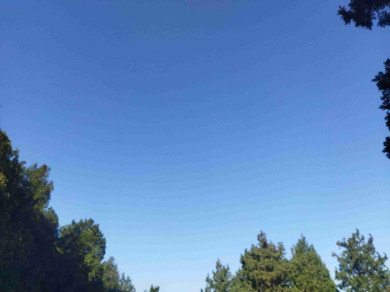 我的今日状态：💰期待暴富
我这里的天气：🌤️多云