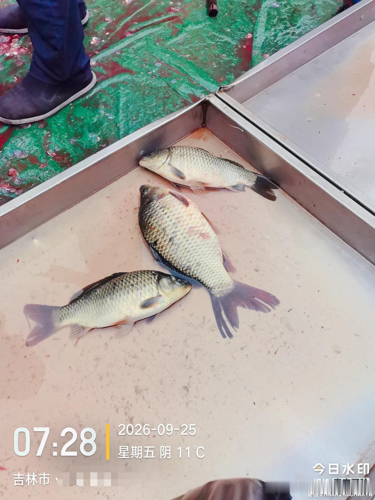 这是体制内曾经一个老科长说过的话，年怕中秋，月怕半，星期怕过礼拜三，
     