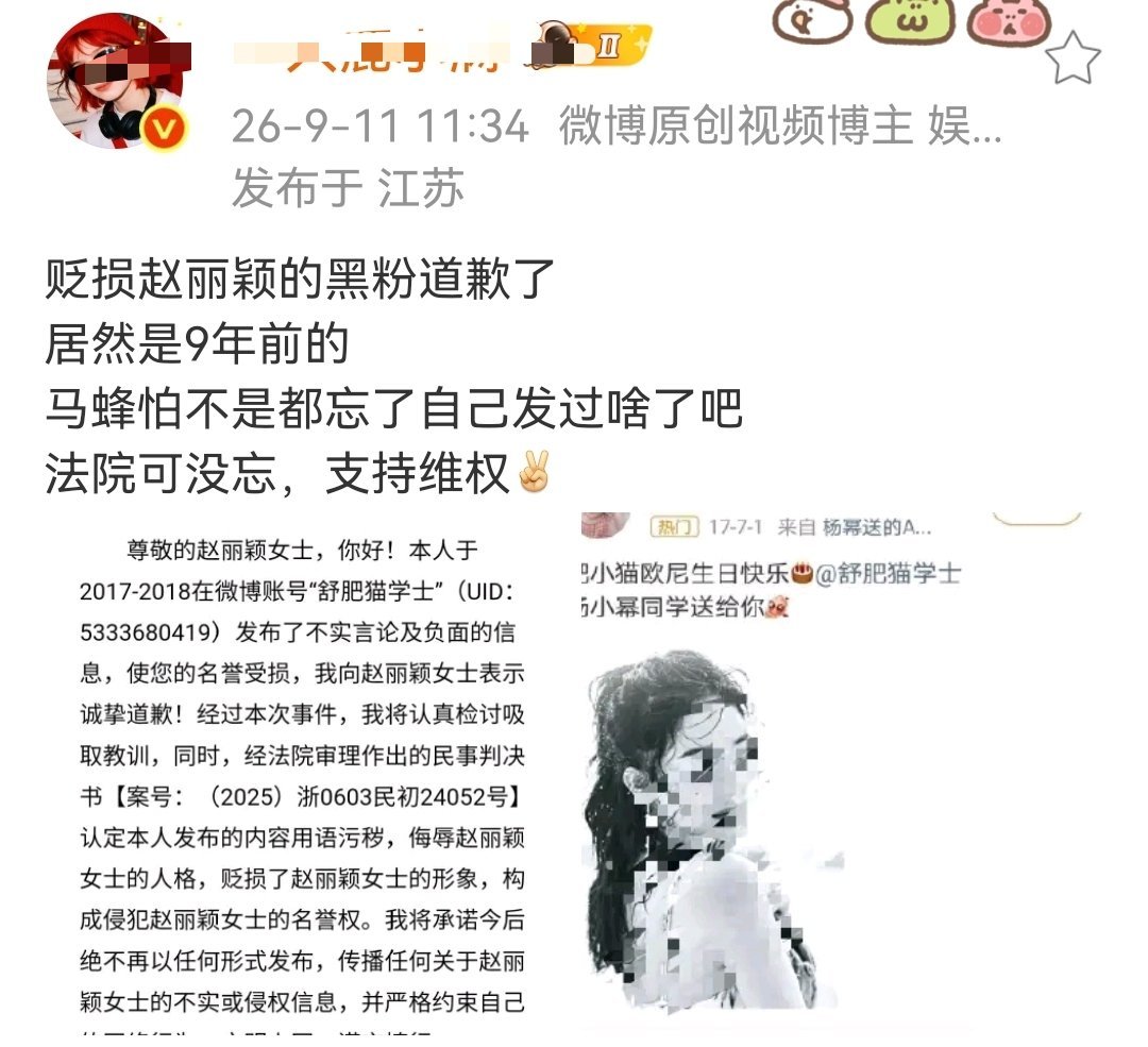 天呐9年前的嘿子都被赵丽颖告了果然网络上说出的每一句话干的每一件事都要负责支持维