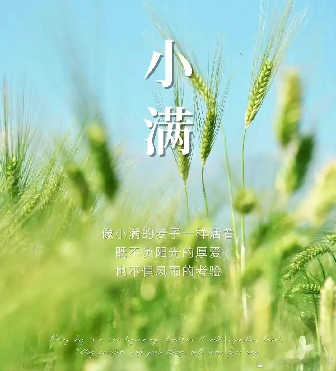 Myself必殺技  𓂃𓈒꙳🍏‧₊˚⸝⸝꙳🍀✧*🌿𓏸.‧₊˚小满即安