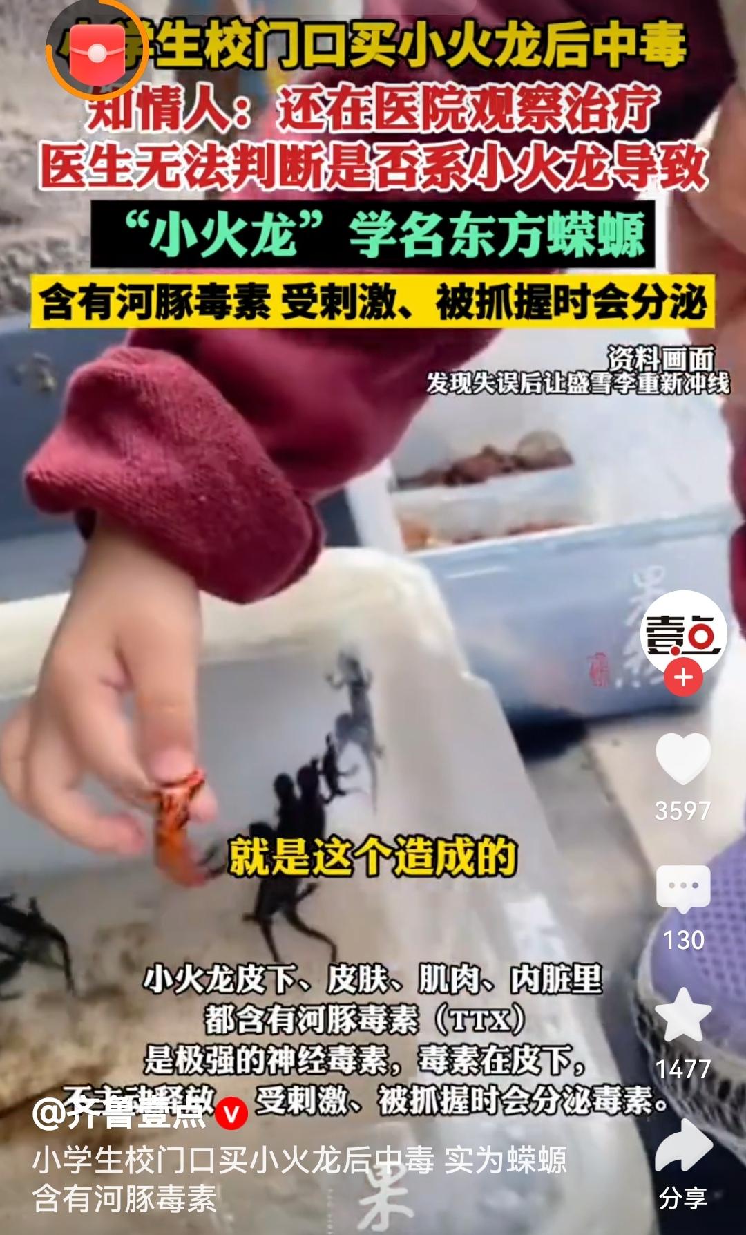 小学生校门口买小火龙后中毒看似可爱的“小火龙”实则是含剧毒的东方蝾螈，这给我们敲