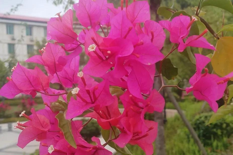 央妈降准又降息，很多人都为这消息叫好，我也不例外。可叫好的同时，又不免疑惑。
我