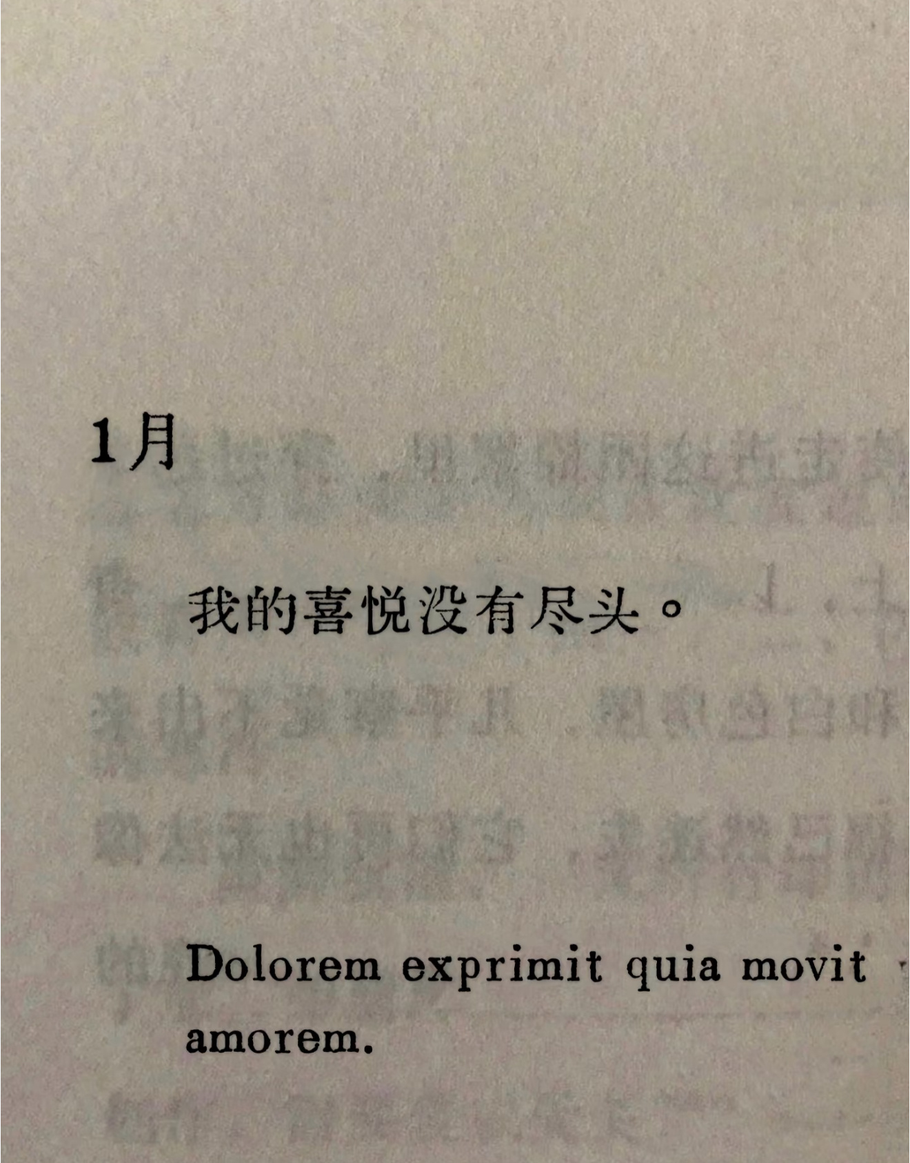 新的一年 祝我们的喜悦没有尽头 