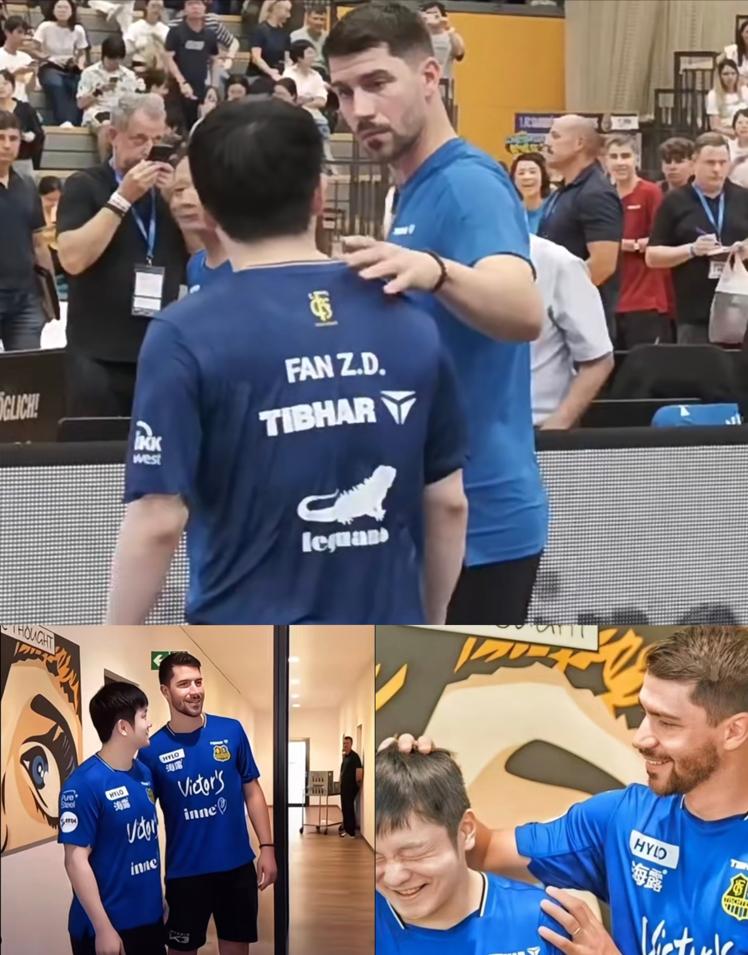 德国名将弗朗西斯卡最近在接受采访时，特意强调了一句，别再叫樊振东天才了。这句话一