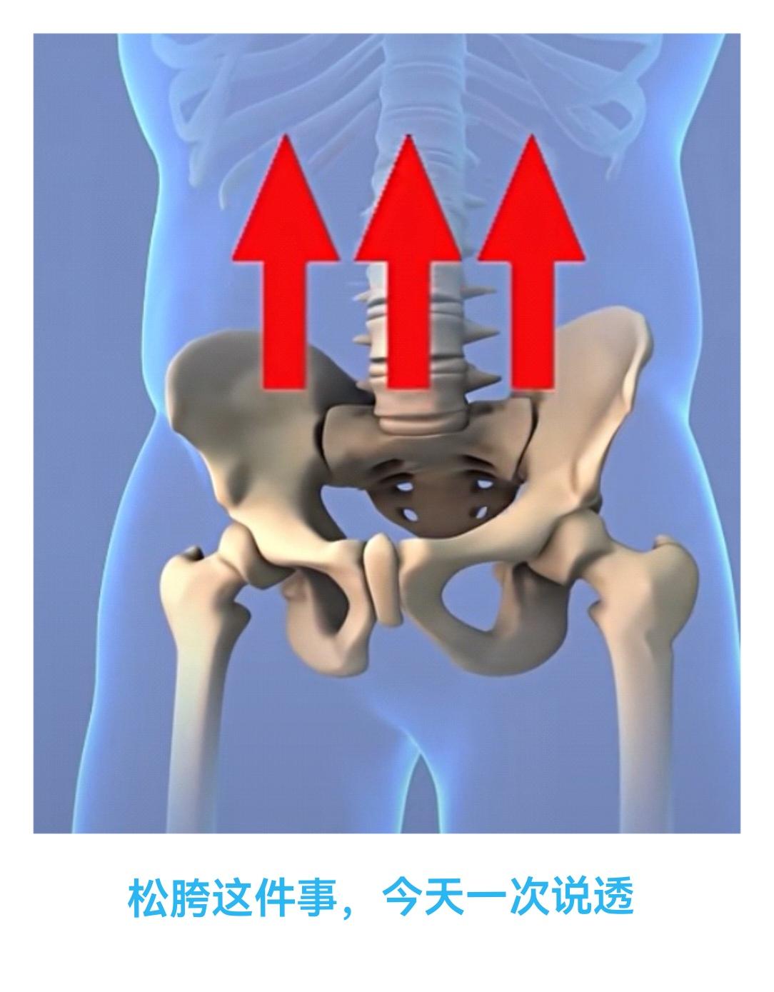 松胯这件事，今天一次说透

致拳友的一封信：一场共同的奔赴，一次温柔的抵达

各