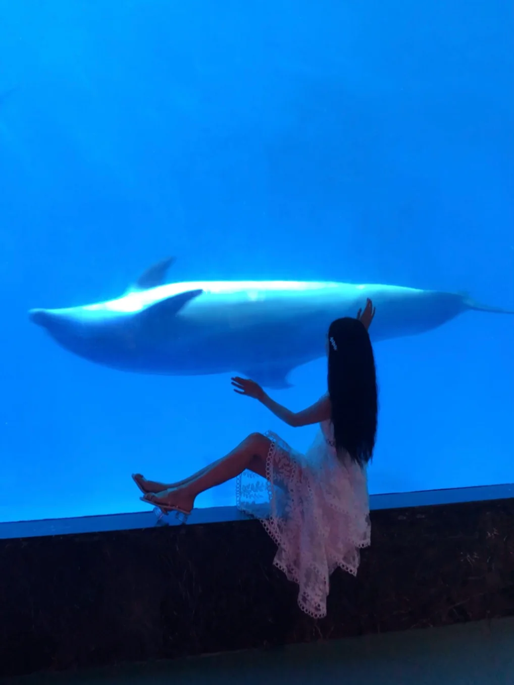 五一游成都👭玩转极地海洋公园超治愈🐳