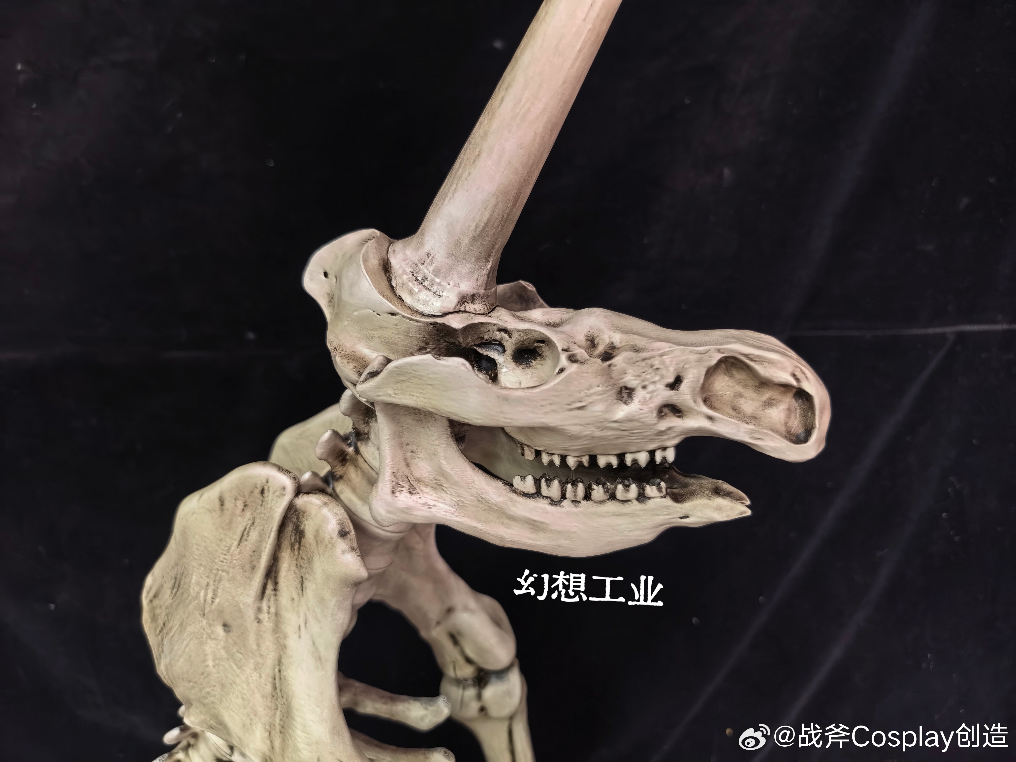 1663年，矿工挖出一批冰河时代混杂的零散骨骼。物理学家奥托·冯·格里克（马德堡
