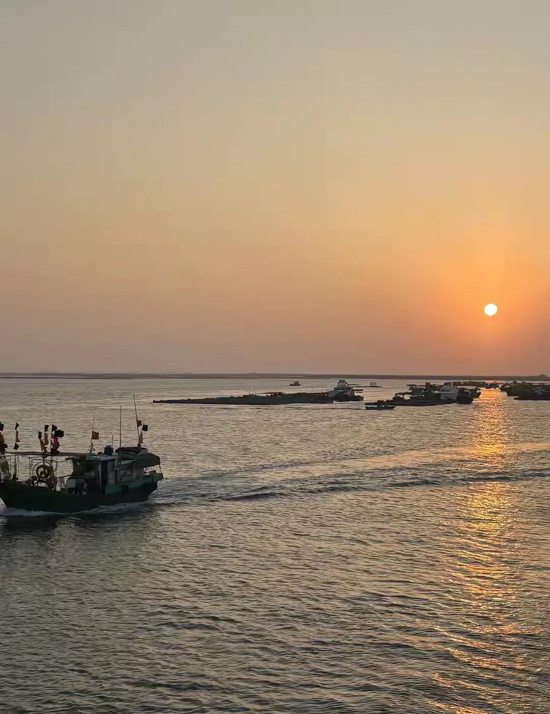 风早把答案吹成碎屑
落在眼底 眉间 未说的句点
我却偏要伸手
拢住这团模糊的执念