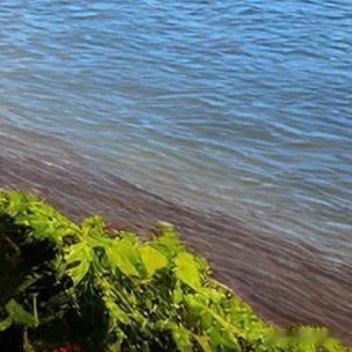 仍有许多艰苦的时刻，也许比过去更多，多数时候都在咬牙坚持、默默等待。幸而我喜欢这