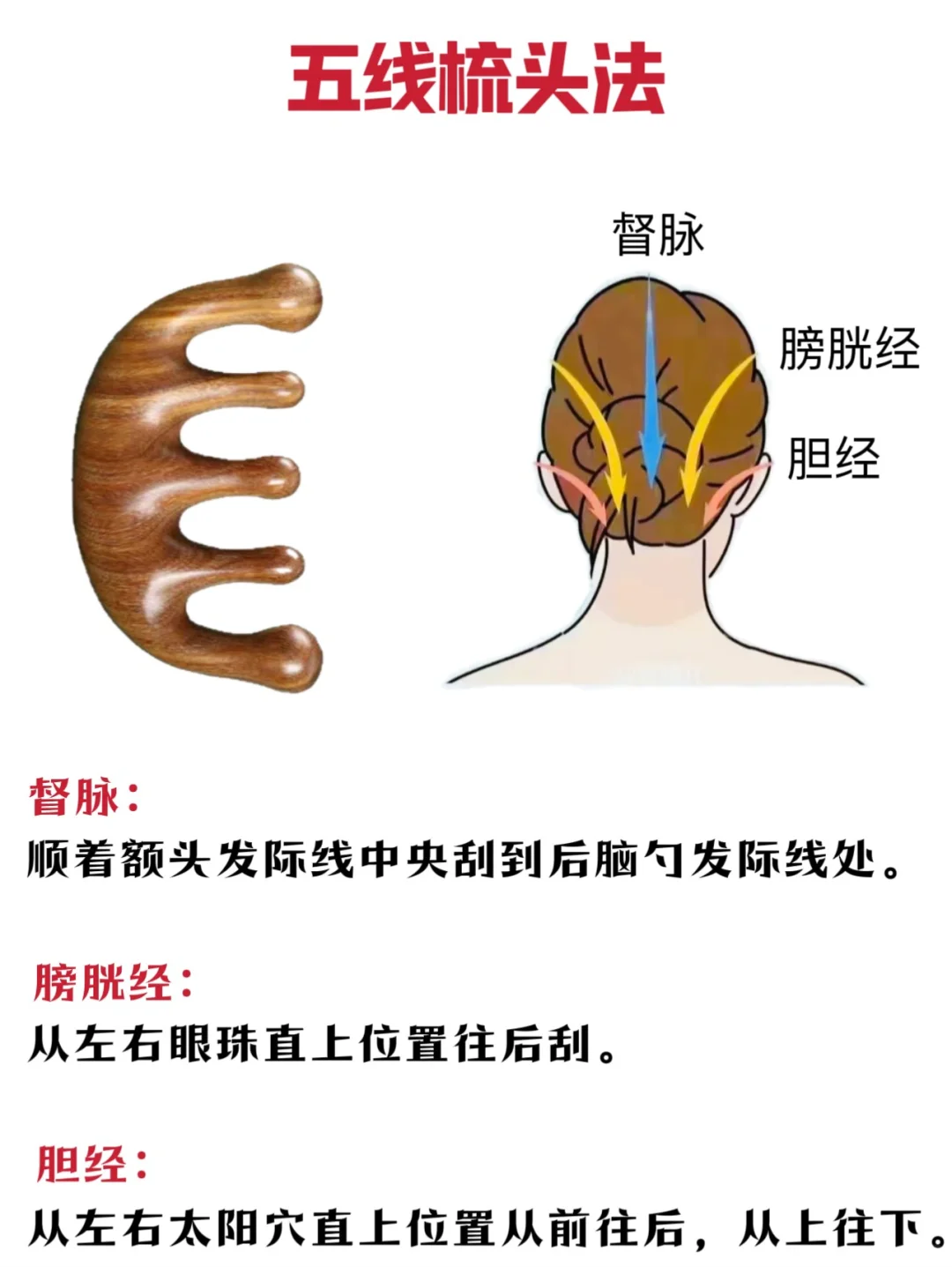 经络梳有了，那你知道该怎么去用吗🧐