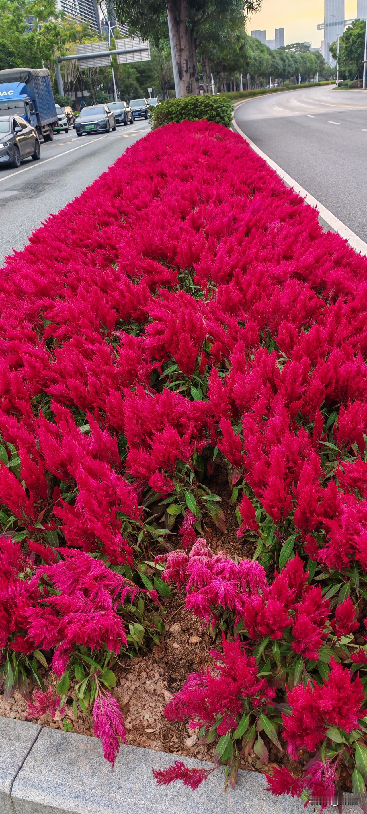 也许永远都不会更新。
但是关注一个人又不吃你的也不喝你的，即不让你背着又不让你抱