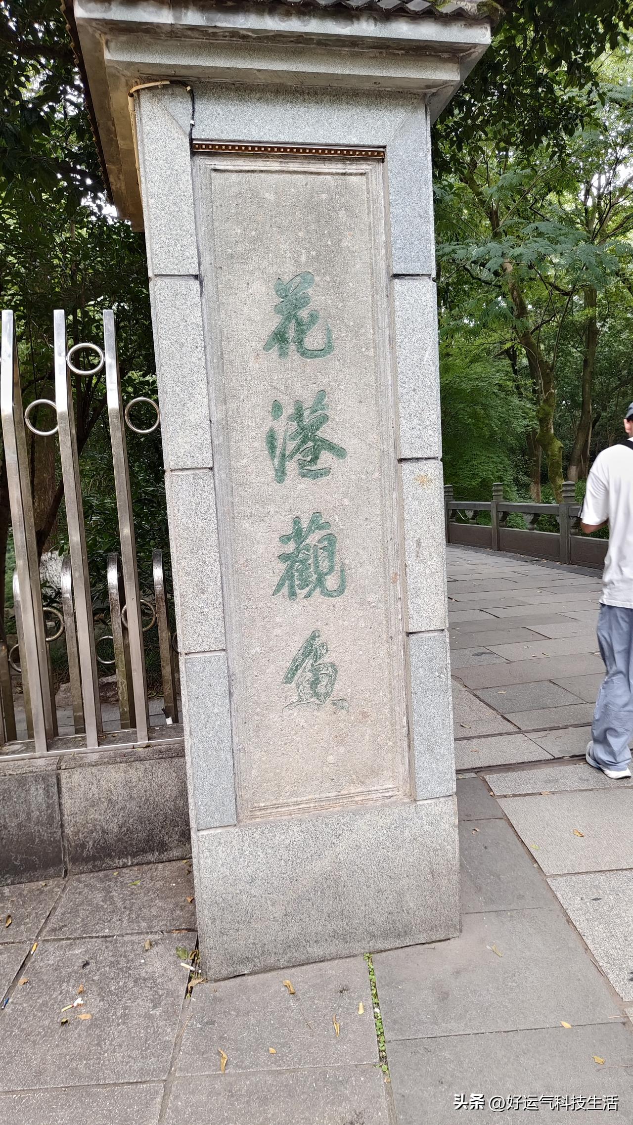 来杭州旅游第一天属实有点小遗憾！下午四点多先逛完七零四工程，打算步行十来分钟去花