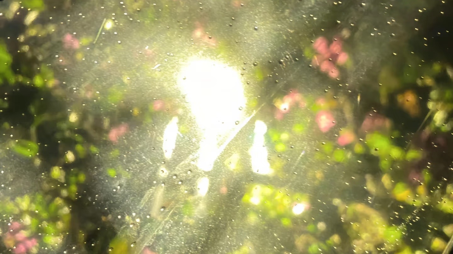 Kore-V 生命里总有些雨季，让我们觉得痛苦，可是雨季一定会有结束的那天。阳光