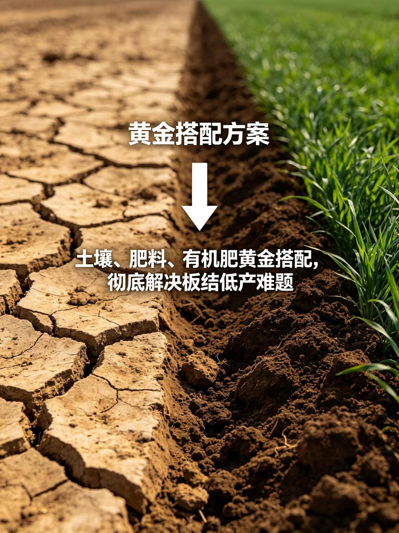 土壤，肥料，有机肥黄金搭配，解决板结低产。土壤 肥料