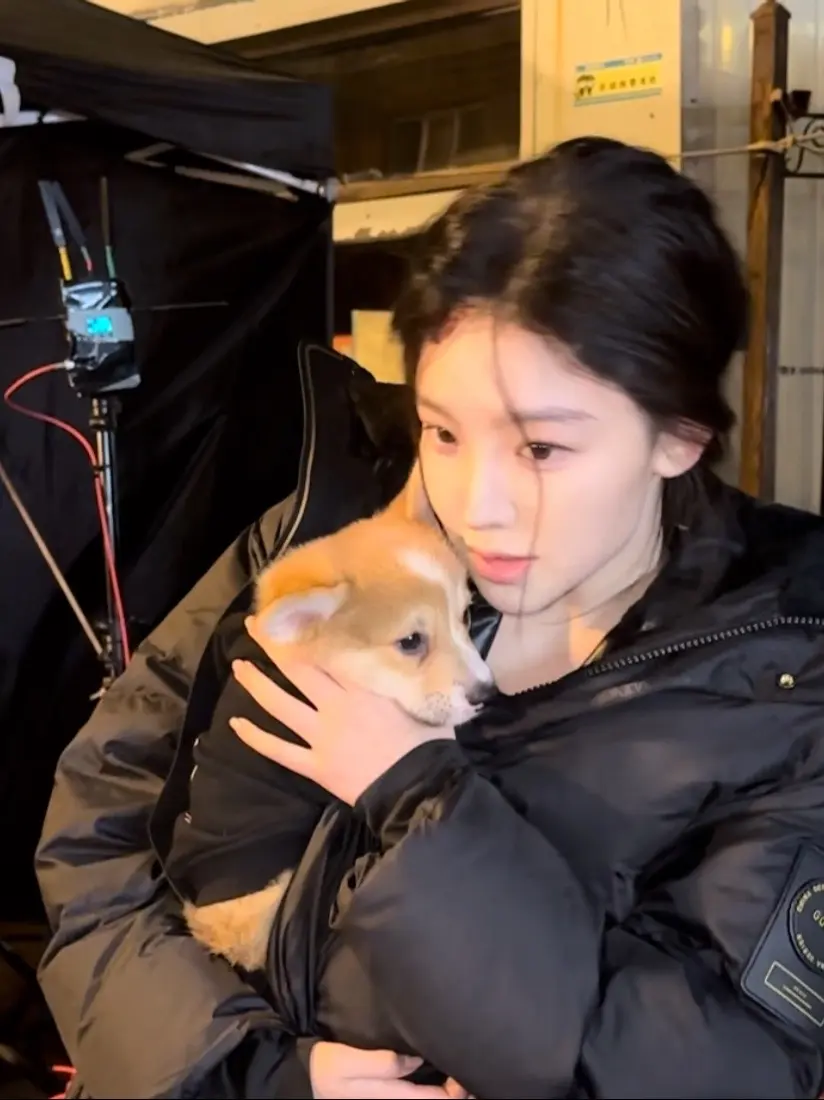 有小狗。剧组小狗也是小小的慢悠悠的🐶