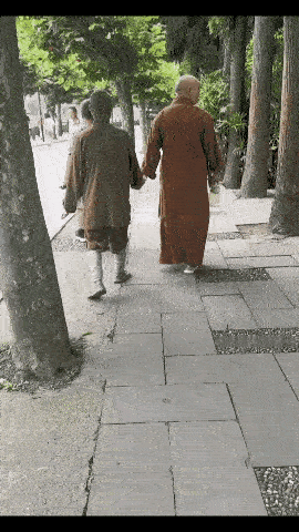 僧人携手行，静心悟禅意。[泪奔]