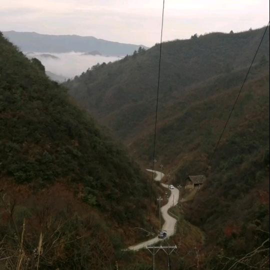 大山情怀文字手写