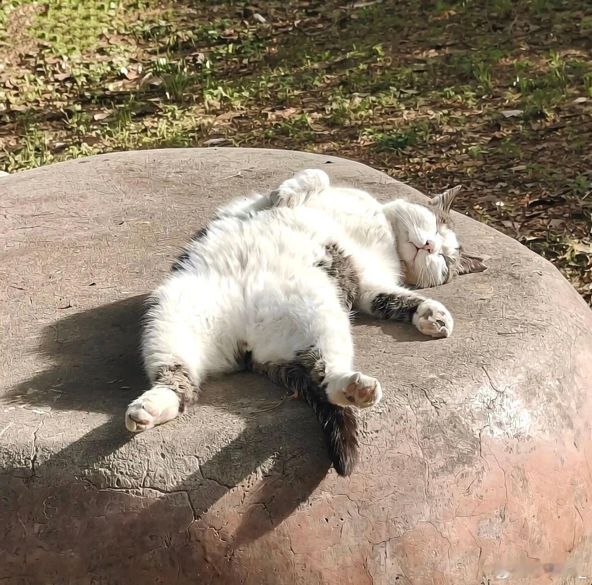 情绪不写在脸上，难道要裱起来展览 