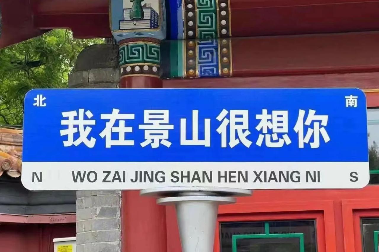 景山成北京网红打卡点了，歪脖树下的老头也学会说时髦流行语了。。。