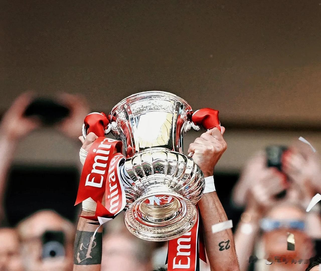 英格兰足总杯夺冠次数排行榜前十名：
1、阿森纳：14冠
2、曼联：13冠
3、切