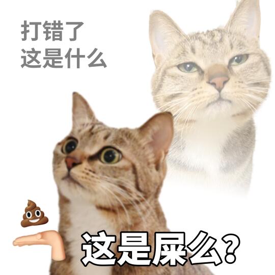 就这样两副面孔 如何呢