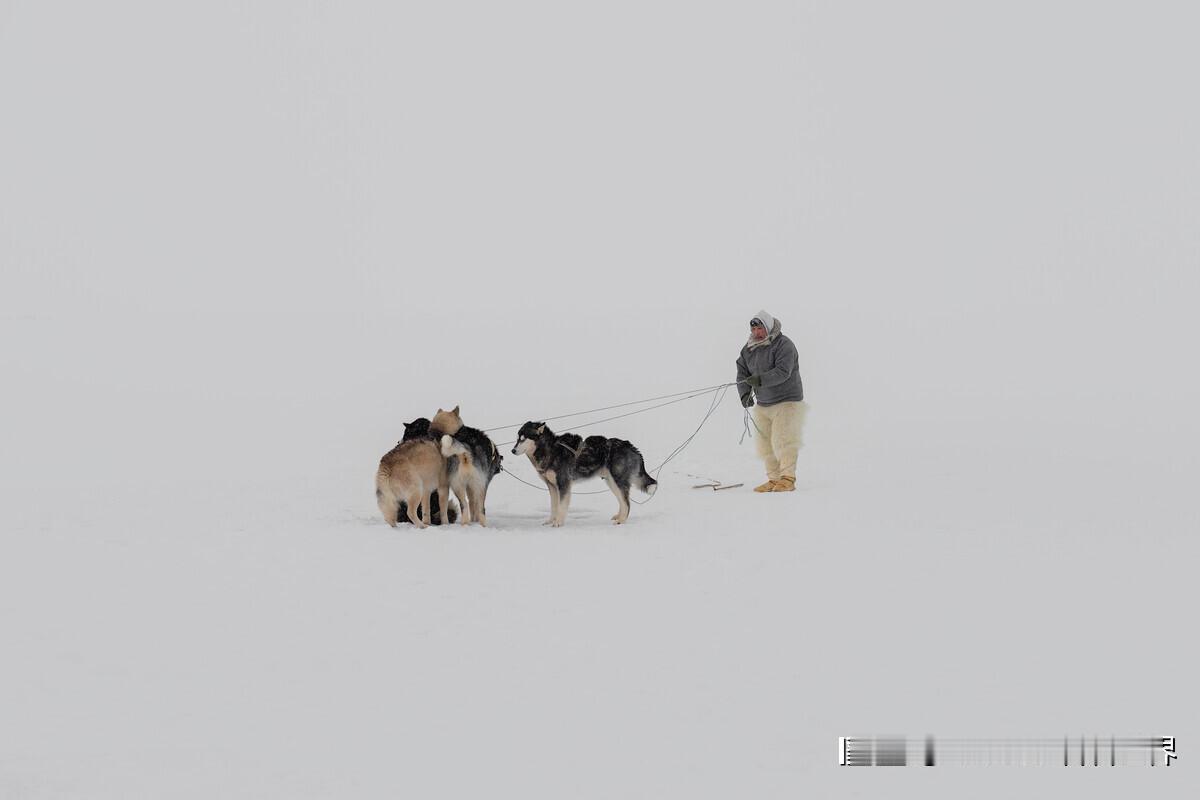 格陵兰岛最北端的村庄Siorapaluk，风雪之中气温降到了零下30度，远处的天
