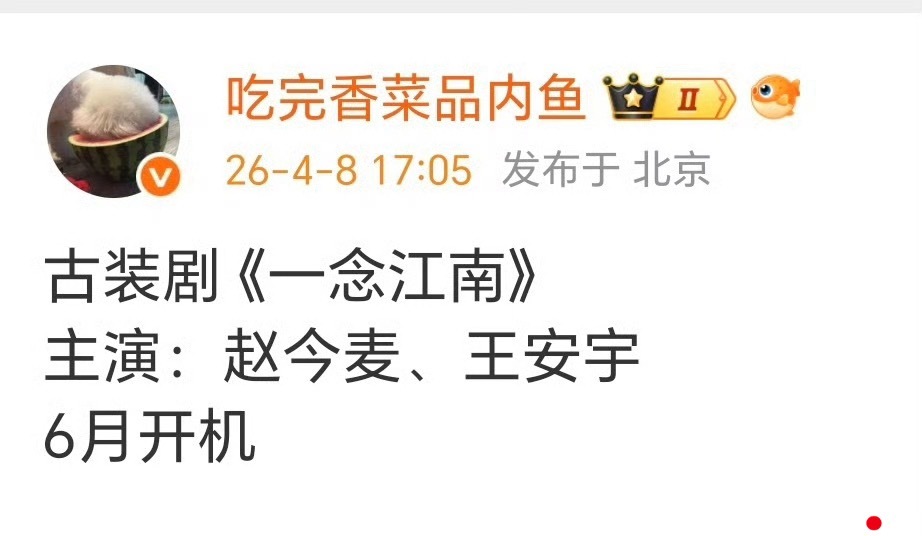 一念江南最后确定了赵今麦和王安宇，说实话这俩人可以搭现偶和年代，唯独不太适合古装
