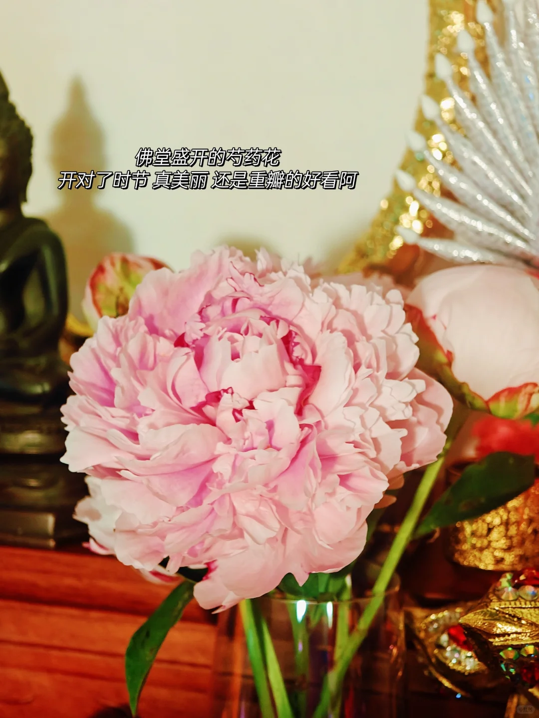 在平凡日子里热爱生活 |记录生活 |生活记录 	 再不发就过期 ​ ​：)