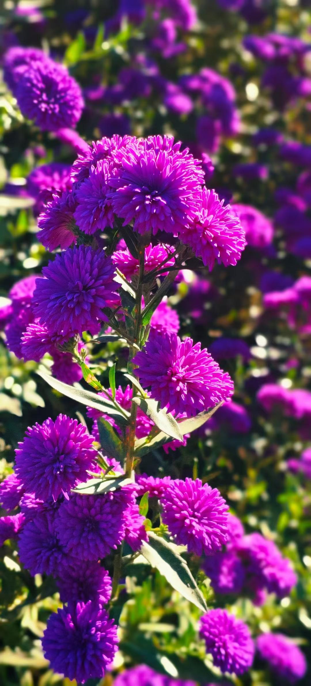 


最“节省”心脏的运动，医生首推这4种
