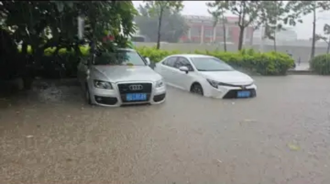 今天暴雨有点严重，直接上午干成这样了 