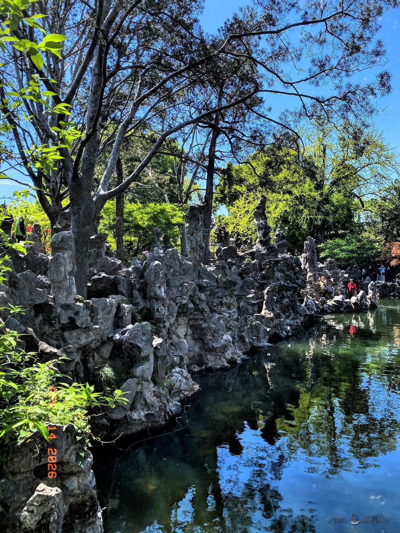 在狮子林这片假山森林中，有一座袖珍小石桥，曾经留下了人生中最美好的瞬间。
