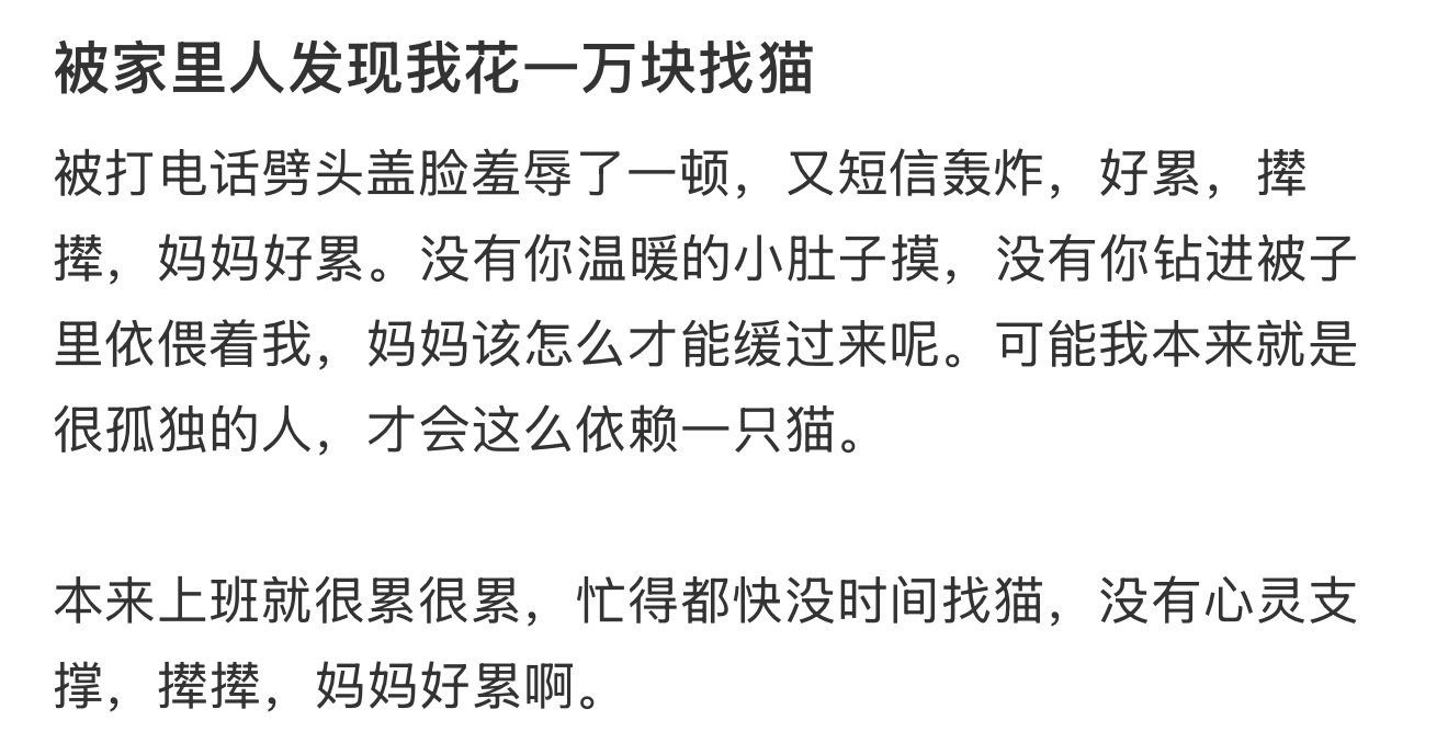 被家里人发现我花一万块找猫 ​​​