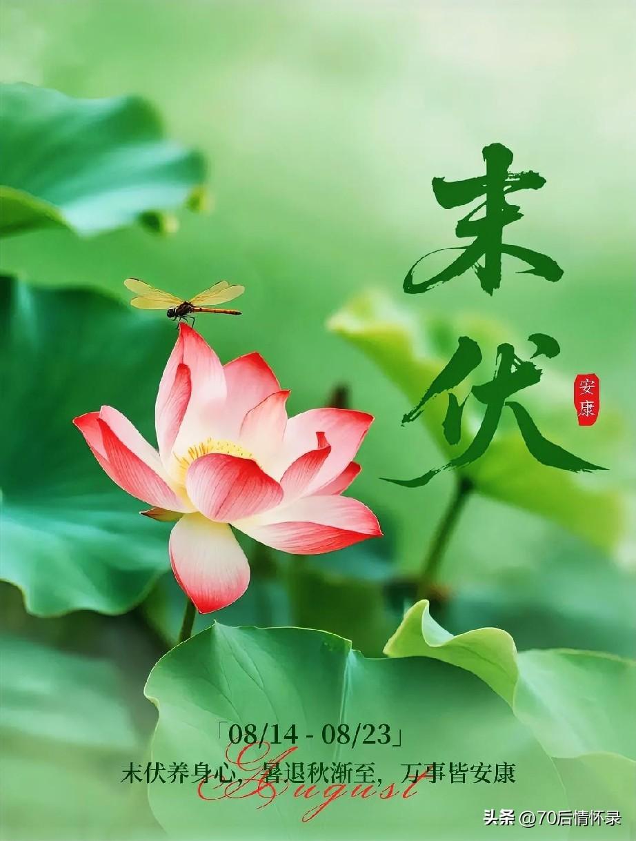 ❶不贪凉，养护脾胃
❷早入睡，少耗心神
❸常补水，温润润燥
 
把身体照料妥当，