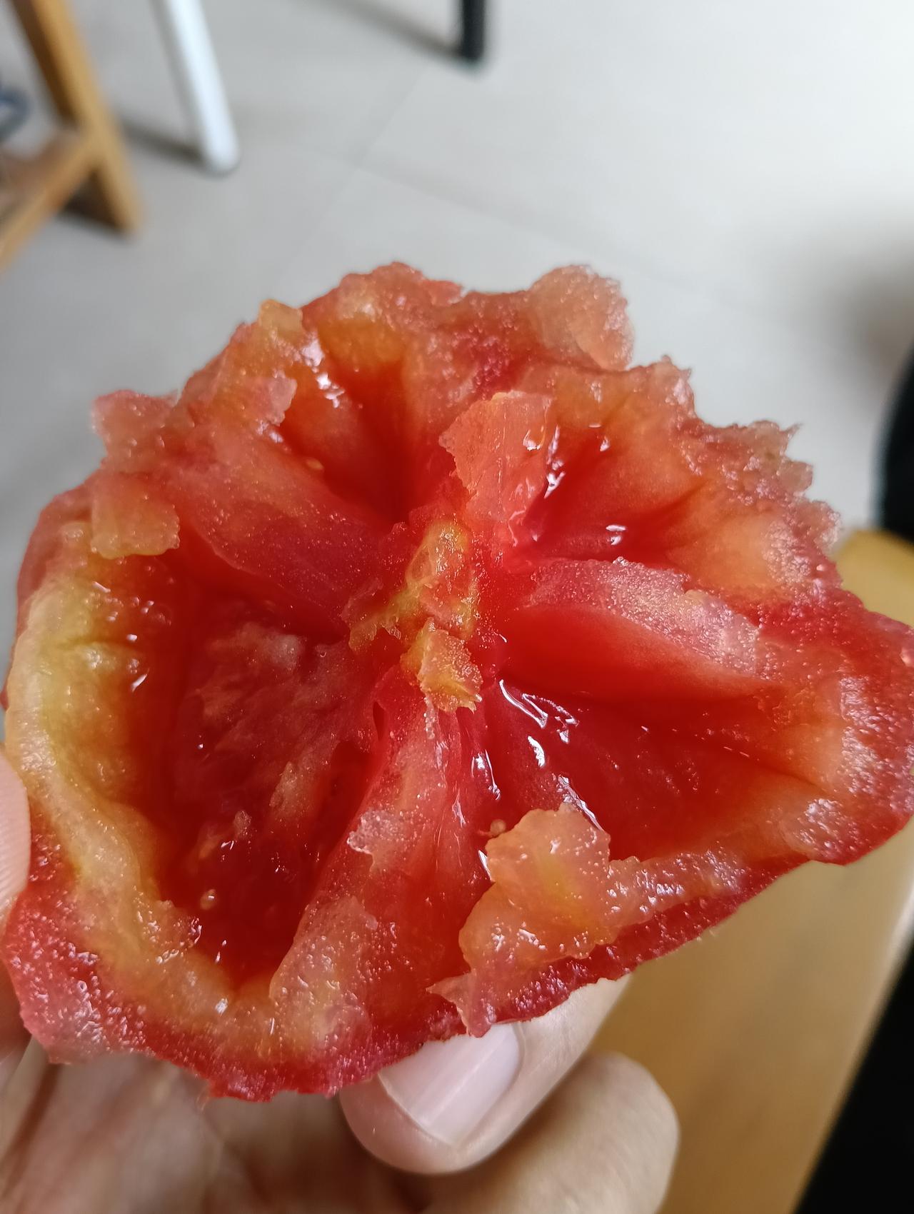 老伯解物｜这姐妹怎么有三个外姓？番茄、洋柿子、西红柿。
查了一下资料，原来是不同