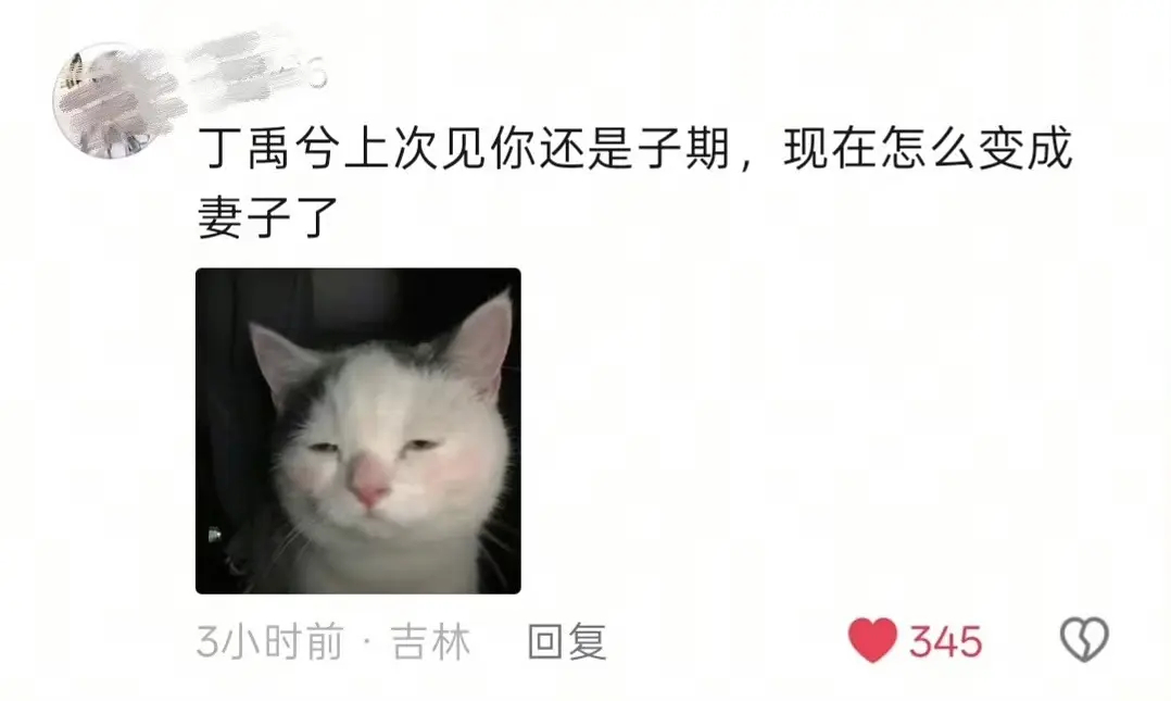 🆘好有梗