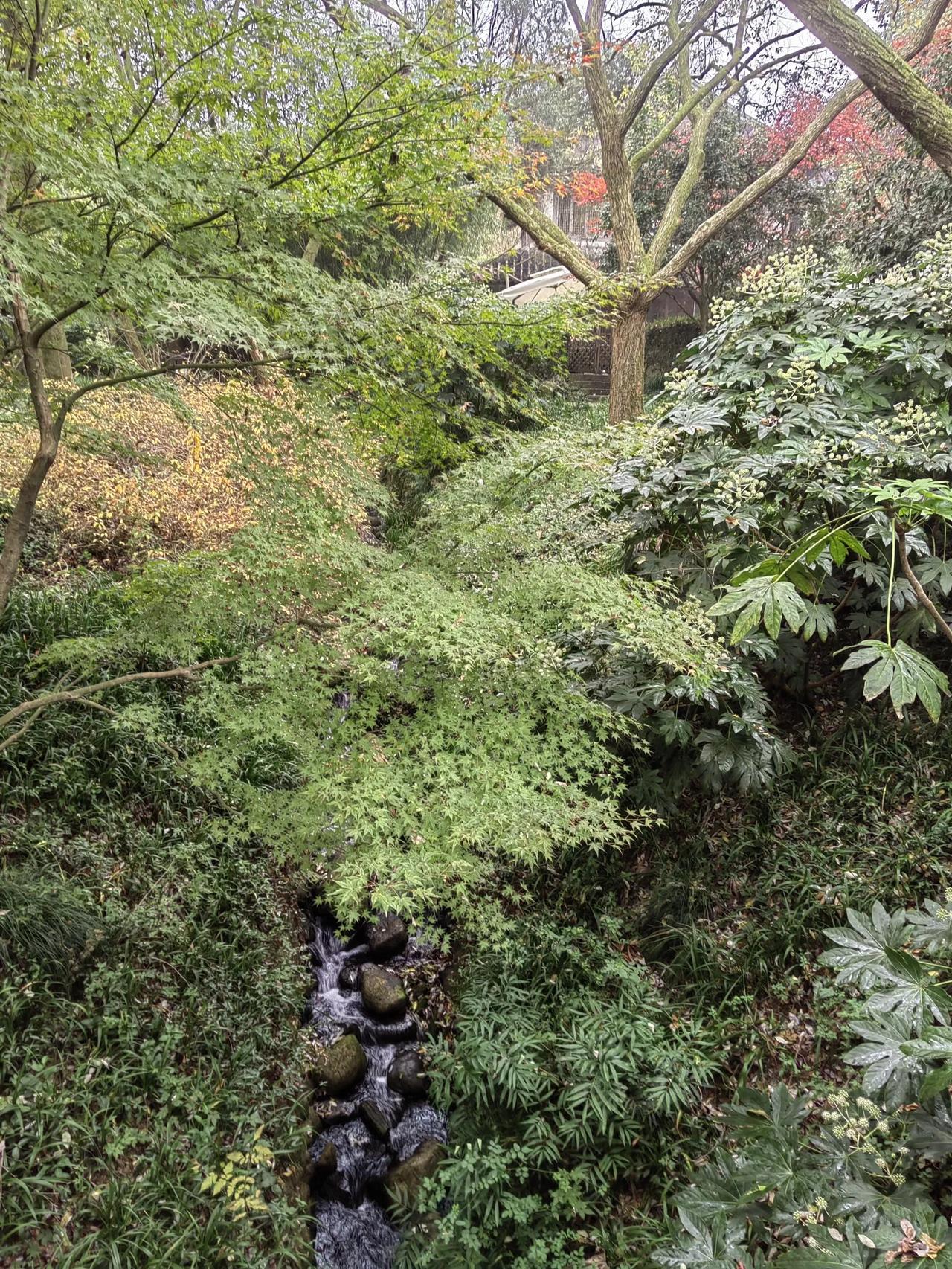 爱情，其实和钱差不多的一样东西

       爱情和钱一样，生不带来，死不带去