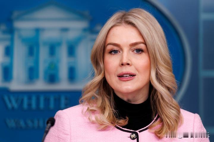 卡罗琳·莱维特称自2025年底发起的“大都会突击行动”后，已在明尼苏达州逮捕了4