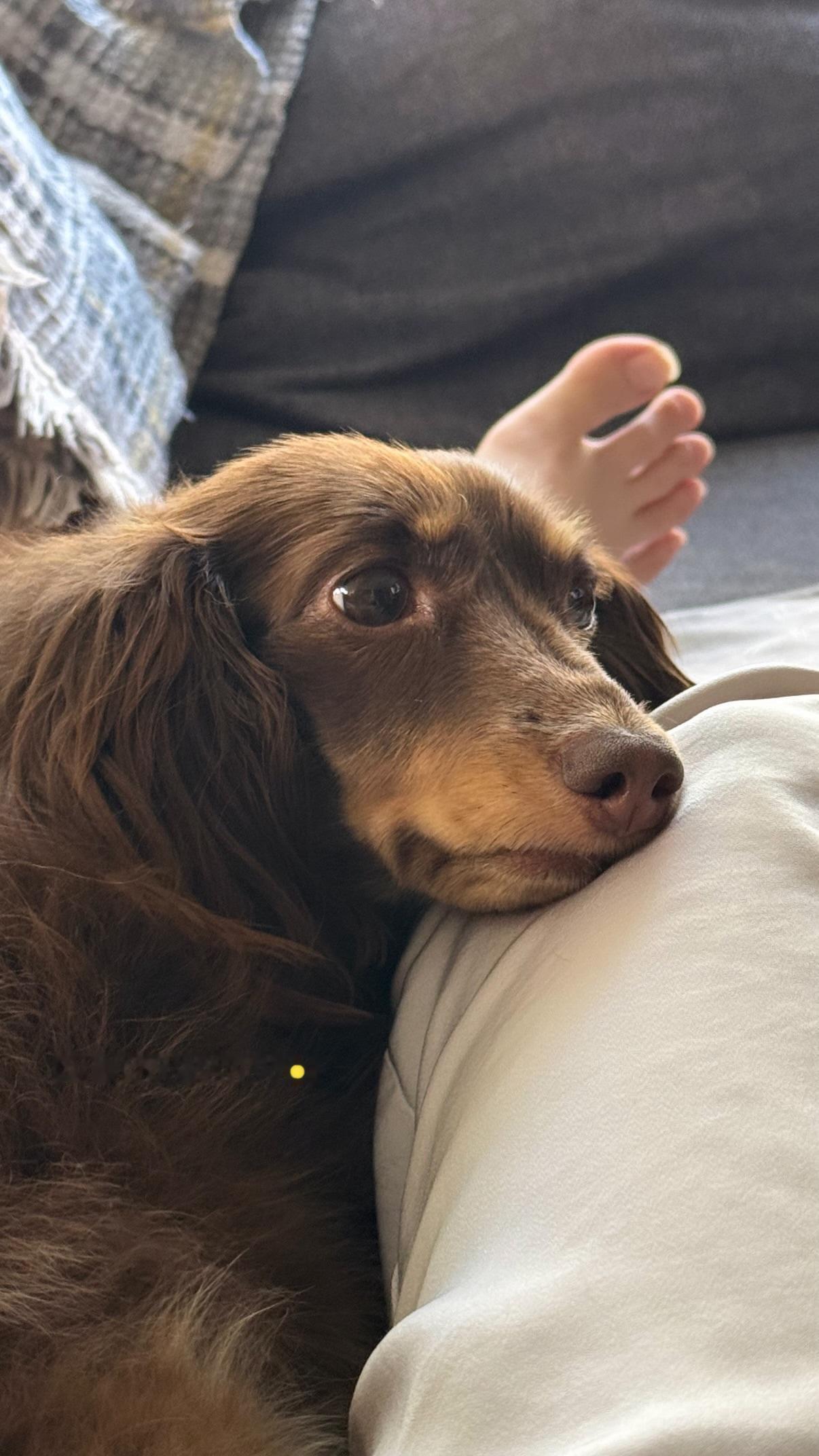 金村美玖🍣mikugram ​​​🐶🦶 ​​​